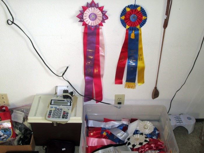Back Bedroom Left:  Horse Ribbons, Pretend your horse won these