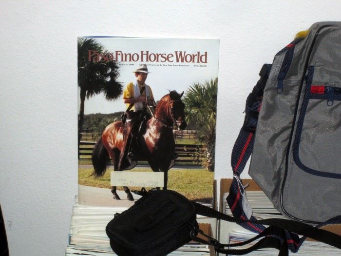 Back Bedroom Left: Paso Fino Horse Magazines
