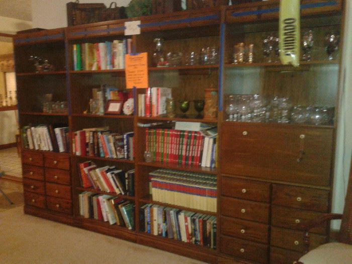 Bookcase is not for sale, only items on the bookcase are 