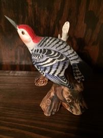 Audubon redbellied woodpecker