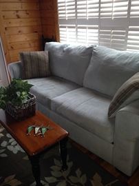 Sleeper sofa (in the boathouse) and long, narrow coffee table