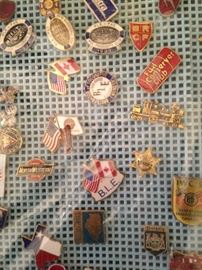 Variety of pins