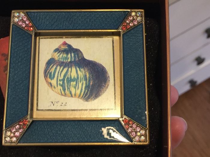 110. Crystal and Enamel Frame of Shell, No.22
