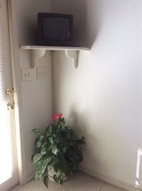 small television, plant