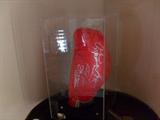 5 champs authenic signature boxing glove