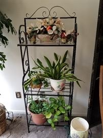 Shelves and plants