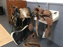 Lot of Saddles for Display