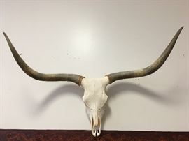 Large Longhorn Skull Mount
