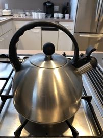 Brushed metal tea kettle
