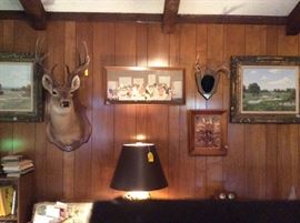 Taxidermy and art