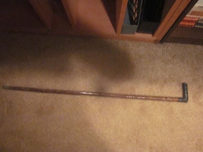 silver tipped cane