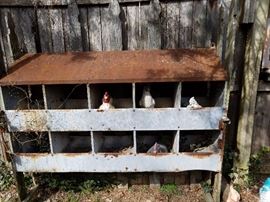 Vintage chicken coop