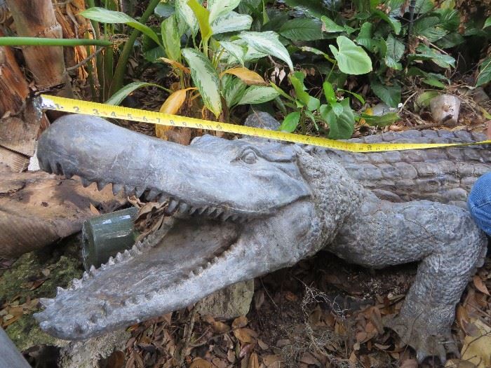 This is surely a rare item for your garden. Pre-sale available. This 9 foot plus metal alligator is custom made per order and weighs in at about 240 pounds. wildlifewonders.com