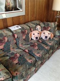 Comfortable couch with a couple of cute pillows!