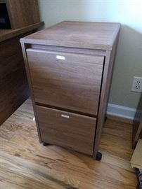 Two drawer rolling file cabinet. It's already full of hanging file folders!