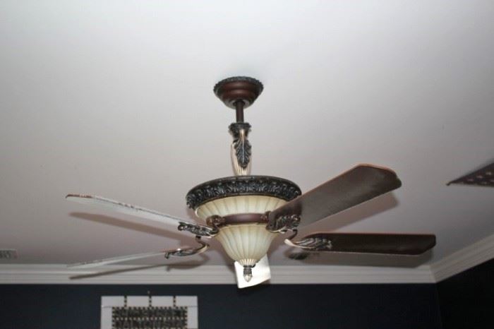 Ceiling Fixture and Fan