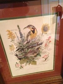 One of two framed bird prints