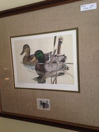 Framed ducks with 1981 Waterfowl stamp