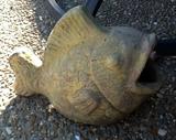 Stone Fish