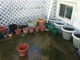 Our client loves to garden and there are gardening items in abundance!
