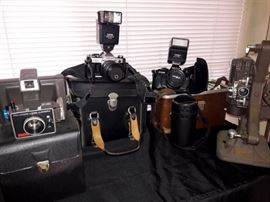 Vintage Camera Collection