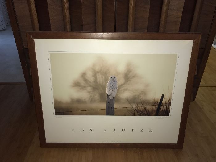 Ron Sauter, Snowy 