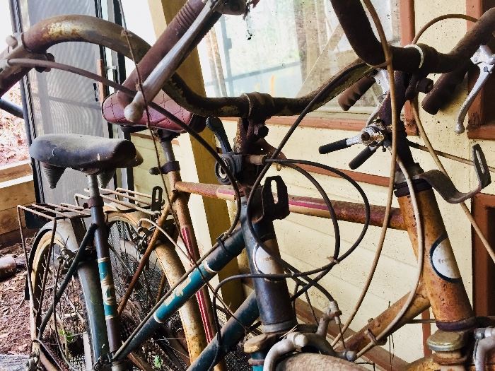 Vintage bikes - Free Spirit