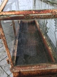 another view of the Wardian iron terrarium