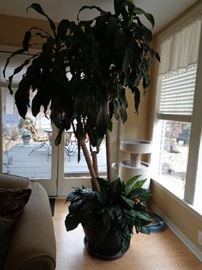 large faux tree