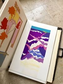 Portfolio full of original art