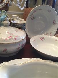 BAVARIAN WINTERLING WILD ROSE CHINA