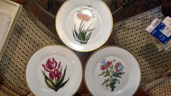 Chelsy House plates