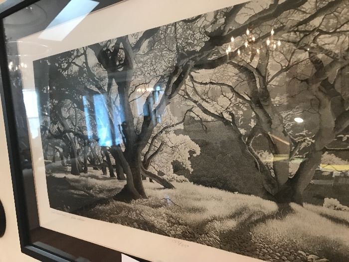 Stephen McMillan "OAK WOODLAND" One Plate Edition ~ Signed And Numbered