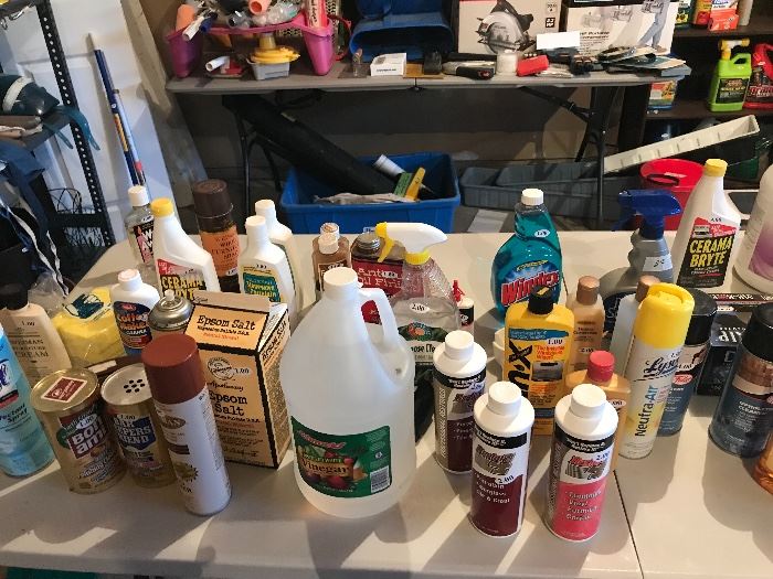 Assorted Garage Items ~ Tools, Chemicals, Ladders, Misc...