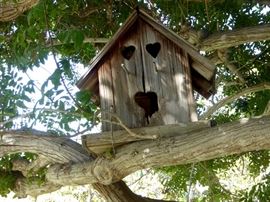 Large bird house
