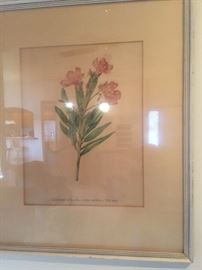 Hand-colored Drypoint on paper by noted artist Betha E Jacques (1839-1905)