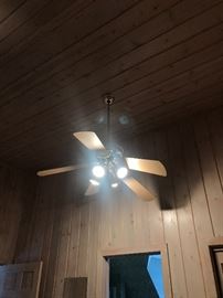 CEILING FAN WITH LIGHTS