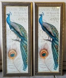 2 Framed Peacock Framed Art (I'm unsure of the measurements)