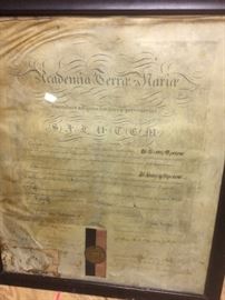 vintage / antique college diploma