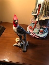 Hutchenreuther Woodpecker