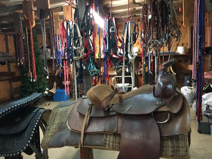 Horse Tack Shop!
