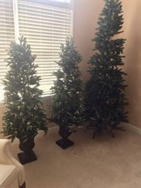 2 lighted tress in urns- pencil Christmas tree