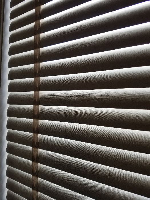 Vinyl blinds on windows.  Great condition