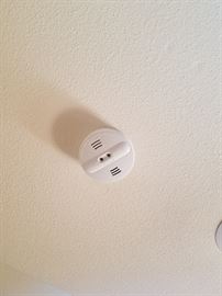 Kiddie hardwired alarms