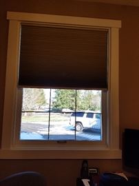 Office window with cell shade