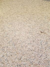 "Berber" carpet in office