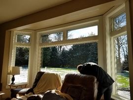 Anderson E Series (Eagle) low e-4 family room.  Side windows are 22 wide.  Center window is 82 wide and they are  68 tall.  Vent windows on top open