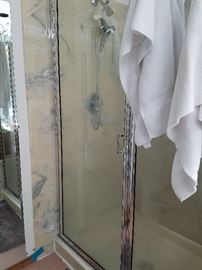 Master bath shower door