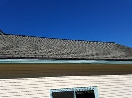 Roofing shingles in great shape