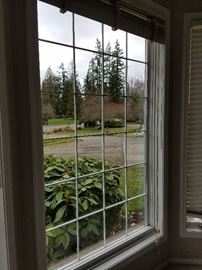 Living room windows.  (3) approx. 27.5 x 73.5  (1) 44 x 73.5